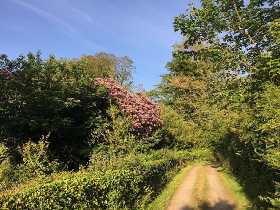 Tranquil Getaway Near Brecon Beacons Διαμέρισμα Llandovery Εξωτερικό φωτογραφία